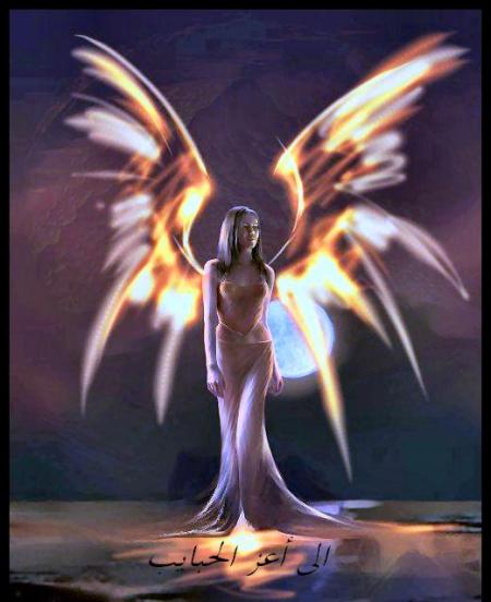 ��� ��������